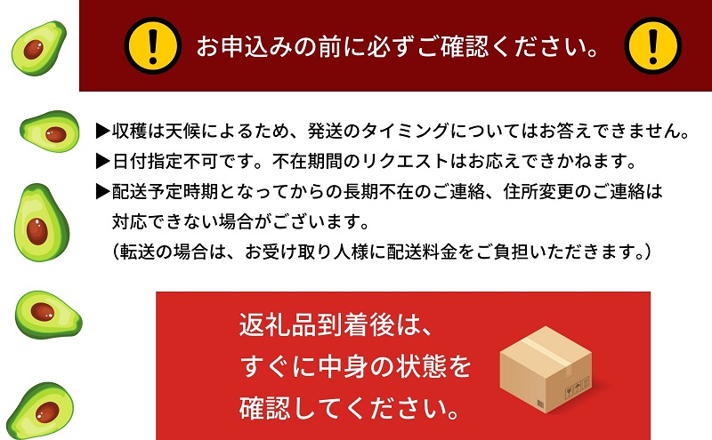 【 小豆島 】【 小豆島産 】小豆島で育った小豆島産アボカド 約1kg アボカド アボガド 野菜 やさい グリーン サラダ 森のバター 食品 ディップ 国産 1kg 香川 香川県 土庄 土庄町