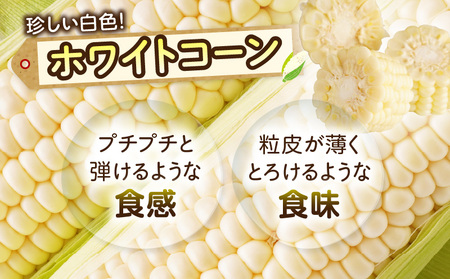 三木町産　ホワイトコーン　約3.0kg | とうもろこし 野菜 コーン 旬の野菜 旬 季節の野菜 季節 贈答 贈り物 ギフト プレゼント おすそ分け グルメ お取り寄せ 人気 おすすめ 特産 特産品 生鮮食品 香川県 三木町 |_mk006-019