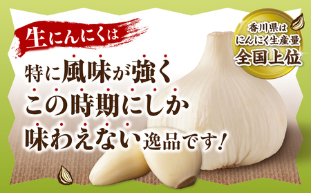 三木町産　生にんにく　約2kg にんにく ガーリック 肉厚 野菜 食材 国産 国産にんにく 薬味 調味 スタミナ 料理 贈答 贈り物 ギフト おすそ分け ストック 生鮮食品 食品 グルメ お取り寄せ おすすめ 特産 特産品 人気 自宅用 家庭用 香川県 三木町 _mk006-039