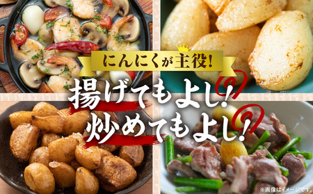 三木町産訳あり生にんにく 約1.5kg | にんにく 生にんにく ニンニク 訳あり 訳あり返礼品 訳あり品 野菜 新鮮 生野菜 香り豊か 栄養価が高い 肉厚 生 料理  スタミナ料理 家庭用 自宅用 香川県 三木町 |_mk006-044