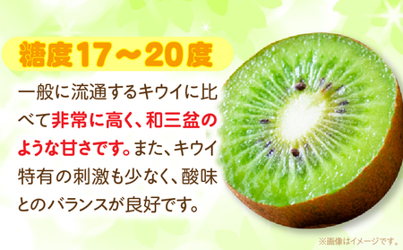 香川県オリジナルキウイフルーツ「さぬきキウイっこ」約1kg【香川県共通返礼品】 | キウイ キウイフルーツ 果物 フルーツ 青果 青果物 さぬきキウイっこ 果実 贈答 贈り物 ギフト 甘い 糖度が高い 季節のフルーツ 旬 おすすめ 香川県 三木町 |_mk006-053