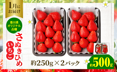 香川のいちご満足3回定期便|いちご 定期便 果物 フルーツ デザート ストロベリー 果肉 スイーツ 甘い 国産 贈り物 贈答 プレゼント グルメ いちご定期便 フルーツ定期便 人気 おすすめ 果物定期便 季節 旬 旬の果物 香川県 三木町 送料無料|_mk006-t010