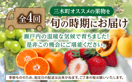 さぬき旬のフルーツお楽しみ 4回定期便 | 果物 フルーツ 青果 青果物 いちご びわ みかん シャインマスカット さぬきひめ 小原紅早生みかん マスカット なつたより 旬の果物 季節の果物 贈答 贈り物 ギフト 化粧箱 取り寄せ 香川県 三木町 送料無料 |_mk006-t015