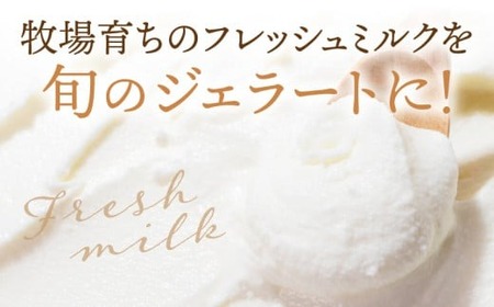 MUCCAジェラート　12個セット|ジェラート 12個 MUCCA サンセットミルク アイス デザート スイーツ 牧場育ち 香川県 三木町|_mk024-001