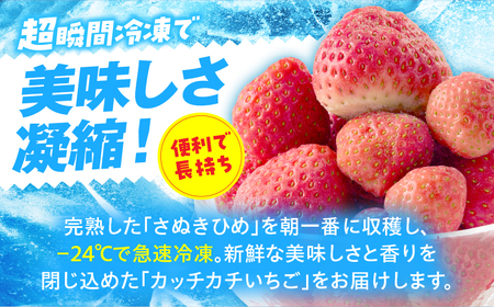 【冷凍いちご】森のいちごのカッチカチいちご【さぬきひめ】　2kg|いちご 苺 ストロベリー さぬき姫 さぬきひめ 香川県オリジナル 希少 甘い 完熟 フルーツ 冷凍 果物 旬 香川県 三木町|_mk035-008