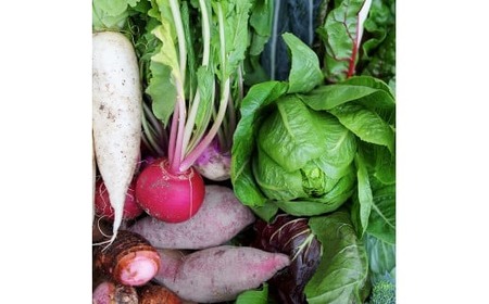 	プチマルシェお野菜ボックス(S)　季節の野菜６～７種類　≪　IDOMALL　セレクト≫| 野菜 新鮮 冷蔵 旬 香川県 野菜ボックス 季節の野菜 青果物 季節 マルシェ 冷蔵 おすすめ|_mk048-003