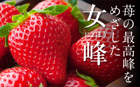 NATSUMI ICHIGO 女峰 約1.8kg以上（2026年1月～6月配送） | スイーツ いちご ストロベリー 女峰 1kg以上 苺 冷蔵 フルーツ 旬 果物 香川県 デザート 青果物 贈答 プレゼント 贈り物 季節限定 旬 おすすめ |_mk060-001