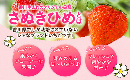 【2026年発送分 先行受付】苺音エコノミー　～さぬきひめいちごがいっぱい～　約1,280g | おすすめ 人気 果実 果肉 果物 フルーツ デザート 贈り物 苺 さぬきひめ 贈答 ご褒美 ギフト 旬の果物 季節の果物 旬 季節 青果物 香川県 三木町  |_mk137-001