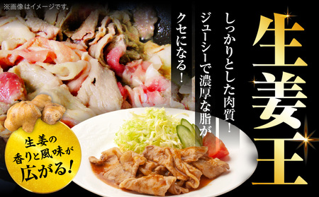 訳あり　豚生姜焼き　《生姜王》5kg盛り　秘伝のタレ漬け　焼くだけ簡単生姜焼き|肉 豚肉 生姜焼き 生姜 秘伝 タレ タレ漬け コク ジューシー 濃厚 切り落とし 冷凍 香川県 三木町 おすすめ|_mk146-199
