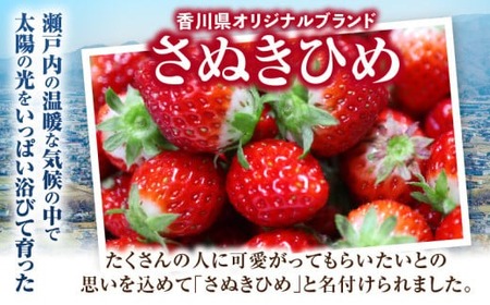 超高級大粒いちご　極甘さぬき姫260g×1パック(ハンモックトレー) | いちご 大粒 高級 さぬき姫 果物 フルーツ おすすめ 旬 イチゴ 季節 旬の果物 ギフト パック 果実 贈り物 デザート 人気 果肉 生鮮食品 国産 冷蔵 香川県 三木町 |_mk165-001