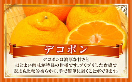 デコポン(露地)　5kg | デコポン みかん フルーツ 果物 旬 柑橘 デザート お裾分け 旬 旬の果物 おすすめ 人気 デザート 生鮮食品 果実 お取り寄せ 贈答用 贈り物 柑橘類 季節 季節の果物 柑橘系 香川県 三木町 |_mk165-007