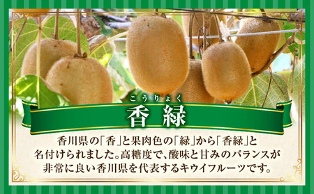 キウイフルーツ(香緑)　3.0kg | キウイ フルーツ 果物 旬 旬の果物 キウイフルーツ デザート 生鮮食品 贈り物 贈答 お裾分け おすすめ 人気 ギフト グルメ 特産品 果肉 季節 季節の果物 香川県 三木町 |_mk165-013