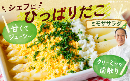 【先行予約】ホワイトアスパラガス約1kg（3～4月出荷）|アスパラ アスパラガス ホワイトアスパラガス 新鮮 素材の味 春野菜 直送 香川県 三木町|_mk002-001