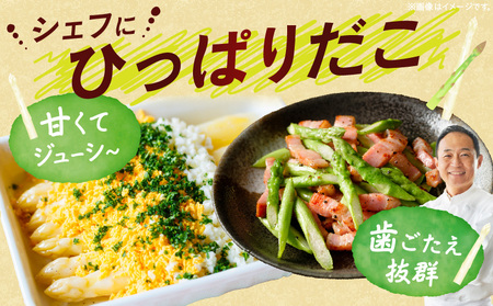 【先行予約】グリーン・ホワイトアスパラガス約1kg（3～4月出荷）|アスパラ アスパラガス ホワイトアスパラガス 新鮮 春野菜 直送 グリーンアスパラガス|_mk002-002