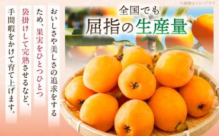初夏を感じる果物 香川県産びわ（なつたより） 約1.0kg【香川県共通返礼品】|びわ 枇杷 なつたより 果物 フルーツ 人気 香川 香川県 三木町 初夏 ハウス栽培 厳選 袋掛け 完熟 ジューシー 糖度が高い 先行受付 先行予約 季節限定 旬 おすすめ|_mk006-021