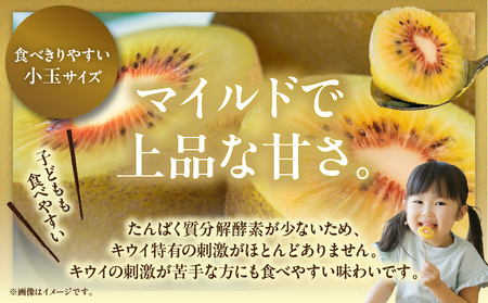【先行受付】さぬきエンジェルスイート（小玉） 約2.0kg【香川県共通返礼品】|さぬき エンジェルスイート 果物 フルーツ 小玉 人気 香川 香川県 三木町 厳選 追熟 ジューシー 糖度が高い 先行受付 先行予約 季節限定 旬 おすすめ|_mk006-022