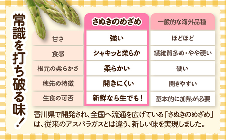 三木町産　香川オリジナルアスパラガス「さぬきのめざめ」　セミロング　春芽　約950ｇ | 野菜 アスパラ アスパラガス さぬきのめざめ 春 冷蔵 新鮮 香川県 三木町 セミロング おすすめ |_mk006-038