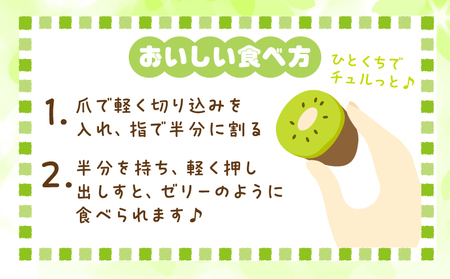 香川県オリジナルキウイフルーツ「さぬきキウイっこ」約1kg【香川県共通返礼品】 | キウイ キウイフルーツ 果物 フルーツ 青果 青果物 さぬきキウイっこ 果実 贈答 贈り物 ギフト 甘い 糖度が高い 季節のフルーツ 旬 おすすめ 香川県 三木町 |_mk006-053