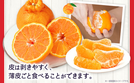 ハウスデコポン約3kg（8-16玉）【香川県共通返礼品】 | デコポン 甘い 酸味 柑橘 柑橘系 果物 フルーツ 青果 デザート グルメ おすすめ 贈答 贈り物 贈答用 ギフト プレゼント 特産品 特産 取り寄せ 香川県 三木町 |_mk006-057