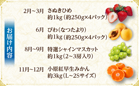 さぬき旬のフルーツお楽しみ 4回定期便 | 果物 フルーツ 青果 青果物 いちご びわ みかん シャインマスカット さぬきひめ 小原紅早生みかん マスカット なつたより 旬の果物 季節の果物 贈答 贈り物 ギフト 化粧箱 取り寄せ 香川県 三木町 送料無料 |_mk006-t015