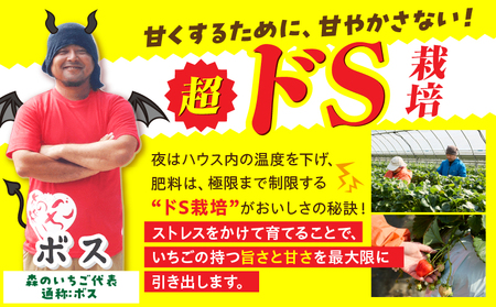 贈答用 完熟さぬき姫 極み 約350g | いちご 苺 さぬき姫 さぬきひめ 香川県オリジナル 希少 甘い 完熟 フルーツ 果物 旬 香川県 三木町 |_mk035-003