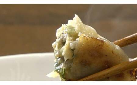 ｢福一｣烏骨鶏餃子48個（タレ付）|餃子 ぎょうざ ギョウザ 烏骨鶏 タレ付き 冷凍 医食同源 香川県 三木町|_mk043-001