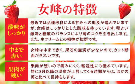 NATSUMI ICHIGO 女峰 約1.8kg以上（2026年1月～6月配送） | スイーツ いちご ストロベリー 女峰 1kg以上 苺 冷蔵 フルーツ 旬 果物 香川県 デザート 青果物 贈答 プレゼント 贈り物 季節限定 旬 おすすめ |_mk060-001