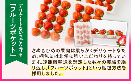 【2026年発送分 先行受付】苺音スタンダード～春の大粒のさぬきひめいちご～　約850ｇ | スイーツ いちご イチゴ ストロベリー さぬきひめ さぬき姫 苺 冷蔵 フルーツ 旬 果物 香川県 デザート 青果物 おすすめ |_mk137-003