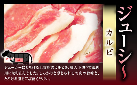 ランプ&イチボ&カルビ　希少部位　MIX焼肉　10kg(500g×20)秘伝のタレ漬け| 肉 牛肉 タレ 漬け 秘伝 味付き ソース ランプ カルビ イチボ 冷凍 BBQ バーベキュー 香川県 三木町 国産 カット 希少 国産牛 ジューシー おすすめ |_mk146-208