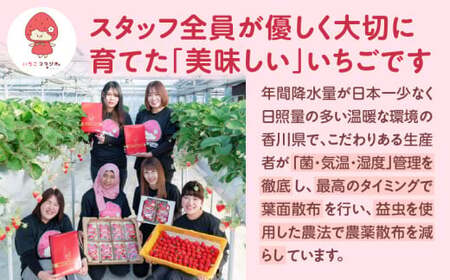 ”あえて”小粒いちご　極甘さぬき姫1,200g×2箱 | いちご 小粒 高級 さぬき姫 果物 フルーツ おすすめ 旬 イチゴ グルメ 季節 旬の果物 ギフト スイーツ パック 果実 贈り物 化粧箱 贈答用 デザート 人気 果肉 生鮮食品 国産 冷蔵 香川県 三木町 |_mk165-005