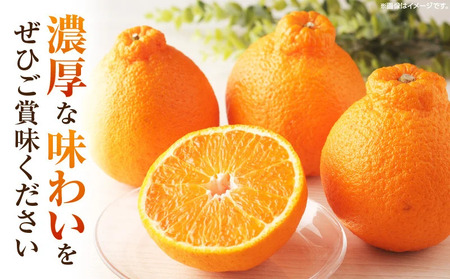 デコポン(露地)　5kg | デコポン みかん フルーツ 果物 旬 柑橘 デザート お裾分け 旬 旬の果物 おすすめ 人気 デザート 生鮮食品 果実 お取り寄せ 贈答用 贈り物 柑橘類 季節 季節の果物 柑橘系 香川県 三木町 |_mk165-007