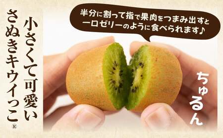 キウイフルーツ(さぬきキウイっこR)　1.8kg×2箱 | キウイ フルーツ 果物 旬 旬の果物 キウイフルーツ デザート 生鮮食品 贈り物 贈答 お裾分け おすすめ 人気 ギフト グルメ 特産品 果肉 季節 季節の果物 香川県 三木町 |_mk165-009