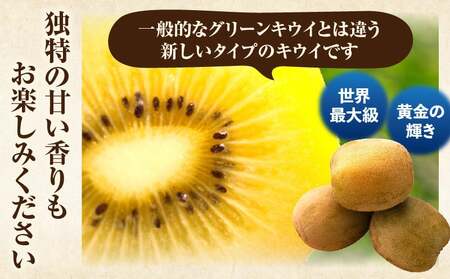 キウイフルーツ(さぬきゴールド)　2.7kg | キウイ フルーツ 果物 旬 旬の果物 キウイフルーツ デザート 生鮮食品 贈り物 贈答 お裾分け おすすめ 人気 ギフト グルメ 特産品 果肉 季節 季節の果物 香川県 三木町 |_mk165-011