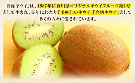 キウイフルーツ(香緑)　3.0kg | キウイ フルーツ 果物 旬 旬の果物 キウイフルーツ デザート 生鮮食品 贈り物 贈答 お裾分け おすすめ 人気 ギフト グルメ 特産品 果肉 季節 季節の果物 香川県 三木町 |_mk165-013