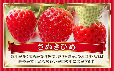 季節の恵み2回定期便D | 果物 定期便 果物定期便 フルーツ フルーツ定期便 定期 旬 旬の果物 旬のフルーツ 旬の定期便 いちご みかん 贈答 贈り物 ギフト 厳選 果実 青果物 果汁 ご褒美 デザート スイーツ 香川県 三木町 |_mk165-t004
