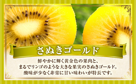 季節の恵み2回定期便G | 果物 フルーツ 定期便 フルーツ定期便 果物定期便 旬 旬の果物 旬のフルーツ 旬の定期便 果実 果汁 デザート スイーツ キウイ キウイフルーツ ゴールドキウイ 厳選 贈り物 贈答 ギフト ご褒美 香川県 三木町 |_mk165-t007