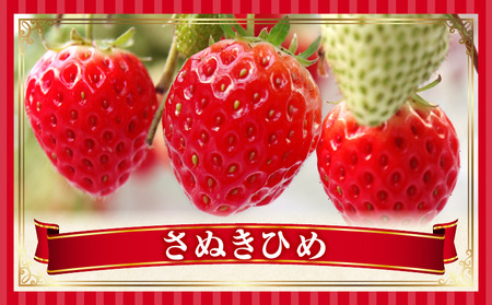 季節の恵み3回定期便A | 果物 フルーツ 青果 青果物 デザート スイーツ 果実 旬 季節 旬の果物 季節の果物 生鮮食品 生鮮 贈答 贈り物 ギフト プレゼント おすそ分け お祝い 内祝い ご褒美 人気 グルメ お取り寄せ 特産品 特産 国産 香川県 三木町 |_mk165-t016