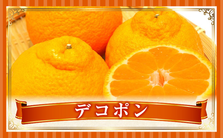 季節の恵み3回定期便I | 果物 フルーツ 青果 青果物 デザート スイーツ 果実 旬 季節 旬の果物 季節の果物 生鮮食品 生鮮 贈答 贈り物 ギフト プレゼント おすそ分け お祝い 内祝い ご褒美 人気 グルメ お取り寄せ 特産品 特産 国産 香川県 三木町 |_mk165-t024