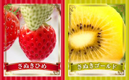 季節の恵み4回定期便A | 果物 フルーツ 青果 青果物 デザート スイーツ 果実 旬 季節 旬の果物 季節の果物 生鮮食品 生鮮 贈答 贈り物 ギフト プレゼント おすそ分け お祝い 内祝い ご褒美 人気 グルメ お取り寄せ 特産品 特産 国産 香川県 三木町 |_mk165-t025