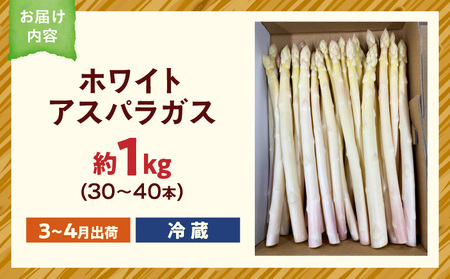 【先行予約】ホワイトアスパラガス約1kg（3～4月出荷）|アスパラ アスパラガス ホワイトアスパラガス 新鮮 素材の味 春野菜 直送 香川県 三木町|_mk002-001