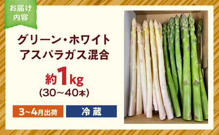 【先行予約】グリーン・ホワイトアスパラガス約1kg（3～4月出荷）|アスパラ アスパラガス ホワイトアスパラガス 新鮮 春野菜 直送 グリーンアスパラガス|_mk002-002