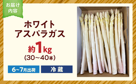【先行予約】ホワイトアスパラガス約1kg（6～7月出荷）|アスパラ アスパラガス ホワイトアスパラガス 新鮮 素材の味 夏野菜 直送 香川県 三木町|_mk002-003