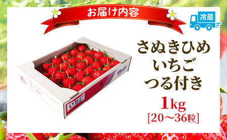 三木町地域いちご部会『さぬきひめ』　つる付き　1kg | スイーツ いちご ストロベリー イチゴ さぬき姫 さぬきひめ 苺 甘い 冷蔵 1kg以上 フルーツ 旬 果物 香川県 デザート 青果物 贈答 プレゼント 贈り物 おすすめ |_mk006-014