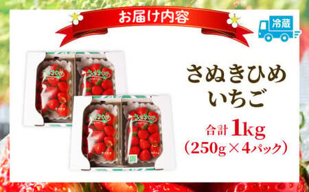 三木町地域いちご部会「さぬきひめ」1.0kg |いちご 苺 ストロベリー さぬき姫 さぬきひめ 香川県 香川県オリジナル 希少 甘い フルーツ 旬 果物 スイーツ 冷蔵 1kg以上 デザート 青果物 贈答 プレゼント 贈り物 おすすめ |_mk006-015