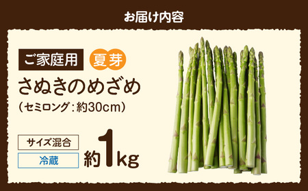 【先行受付】ご家庭用アスパラガス「さぬきのめざめ」(セミロング)夏芽 サイズ混合 約1kg | 野菜 アスパラ アスパラガス さぬきのめざめ 家庭用 夏 冷蔵 新鮮 香川県 三木町 セミロング おすすめ |_mk006-024