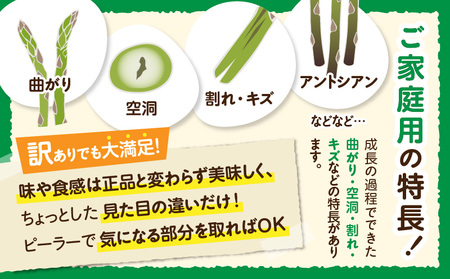ご家庭用アスパラガス「さぬきのめざめ」(セミロング)春芽 サイズ混合約700g | 野菜 アスパラ アスパラガス さぬきのめざめ 家庭用 春 冷蔵 新鮮 香川県 三木町 セミロング おすすめ |_mk006-027