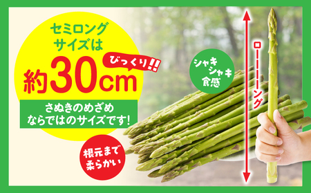 三木町産　香川オリジナルアスパラガス「さぬきのめざめ」　セミロング　春芽　約950ｇ | 野菜 アスパラ アスパラガス さぬきのめざめ 春 冷蔵 新鮮 香川県 三木町 セミロング おすすめ |_mk006-038