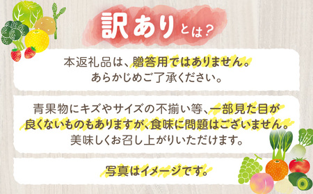 三木町産訳あり生にんにく 約1.5kg | にんにく 生にんにく ニンニク 訳あり 訳あり返礼品 訳あり品 野菜 新鮮 生野菜 香り豊か 栄養価が高い 肉厚 生 料理  スタミナ料理 家庭用 自宅用 香川県 三木町 |_mk006-044