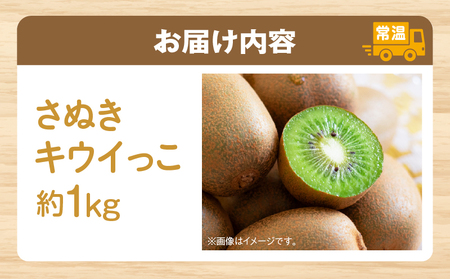 香川県オリジナルキウイフルーツ「さぬきキウイっこ」約1kg【香川県共通返礼品】 | キウイ キウイフルーツ 果物 フルーツ 青果 青果物 さぬきキウイっこ 果実 贈答 贈り物 ギフト 甘い 糖度が高い 季節のフルーツ 旬 おすすめ 香川県 三木町 |_mk006-053