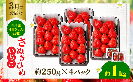 香川のいちご満足3回定期便|いちご 定期便 果物 フルーツ デザート ストロベリー 果肉 スイーツ 甘い 国産 贈り物 贈答 プレゼント グルメ いちご定期便 フルーツ定期便 人気 おすすめ 果物定期便 季節 旬 旬の果物 香川県 三木町 送料無料|_mk006-t010